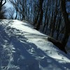 雪道は呼ぶよ