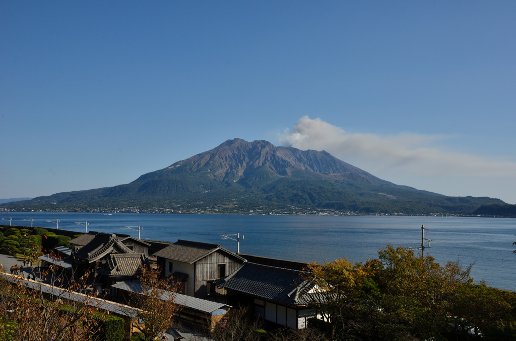 薩摩の心