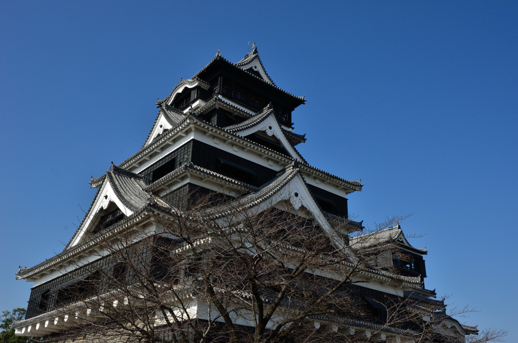 肥後熊本城　天守閣その1