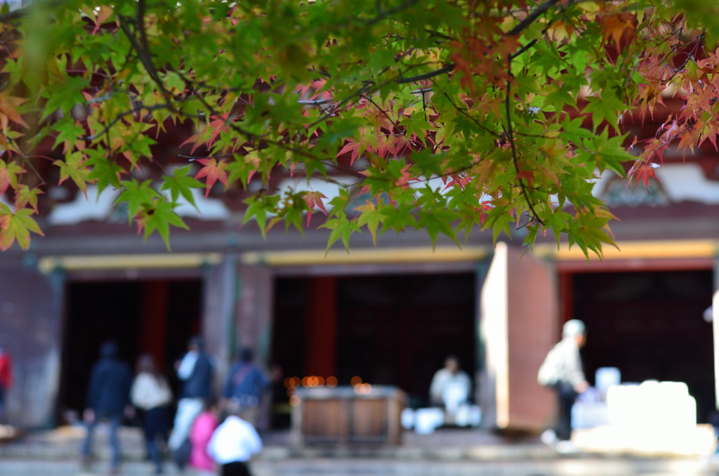 境内参拝中　IN　高雄神護寺