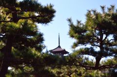 三溪園の五重塔