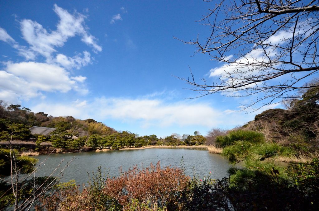 三溪園を広角で