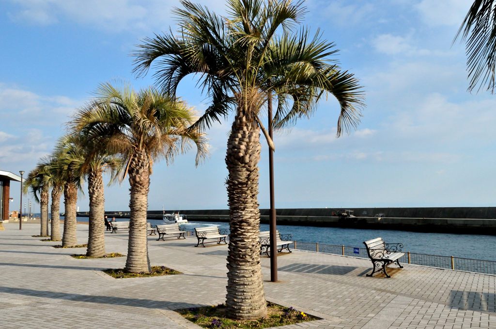 三井アウトレットパークマリンピア（垂水）の海側