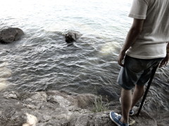 湖