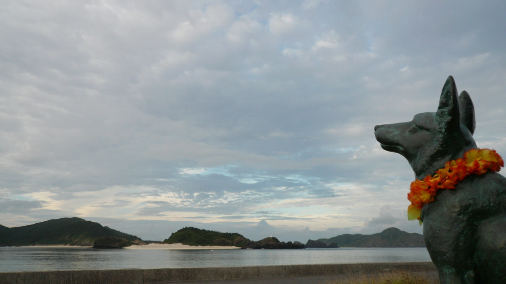 阿嘉島を見つめるマリリン・・・