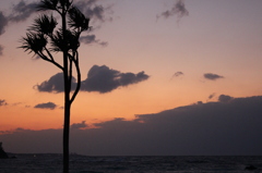 冬の夕空 冬の夕空