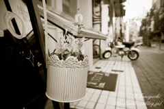 E16 F2.8テスト撮影