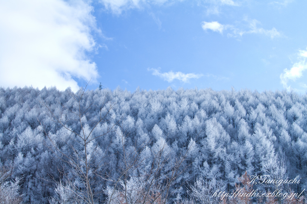 雪景色