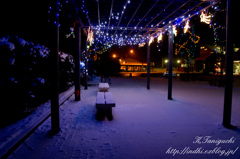 夜も雪