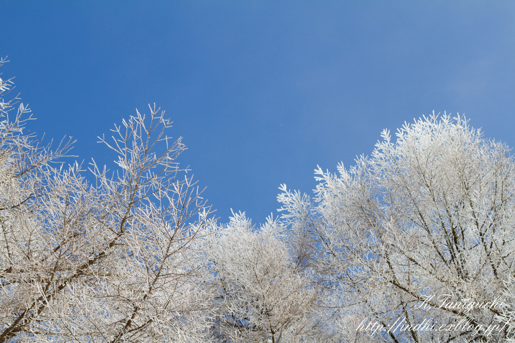 空と雪景色