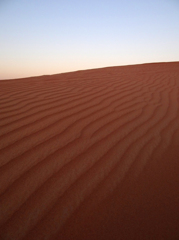 アラブハッタ砂漠。
