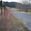 IMG_1211