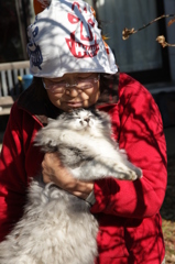 母と野良猫