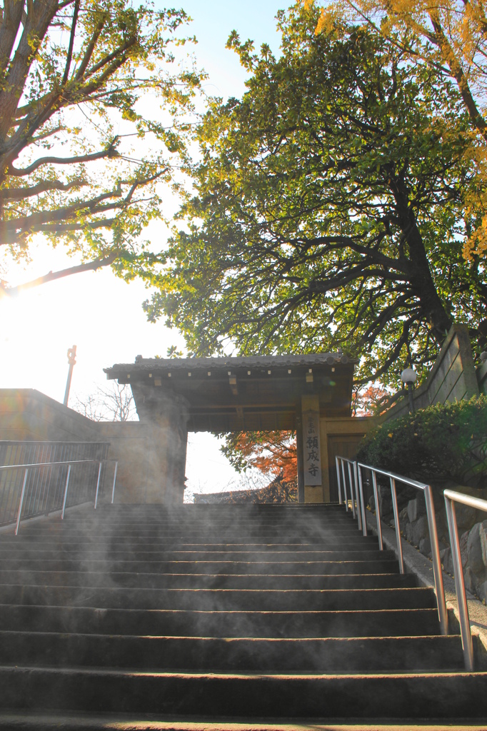 願成寺