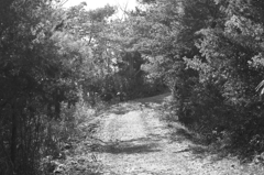 DPP_0006