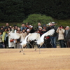 DPP_0033