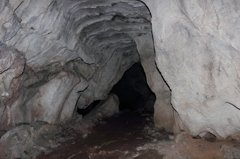 DPP_0013