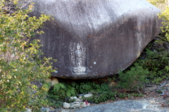 DPP_0003