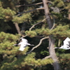 DPP_0026