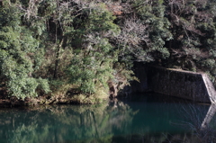 DPP_0019