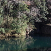 DPP_0019