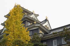 岡山城