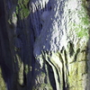DPP_0064
