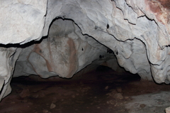 DPP_0012
