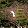 DPP_0028