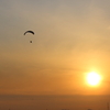 DPP_0022