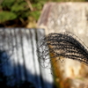 DPP_0020