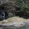 DPP_0080