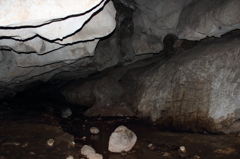 DPP_0010