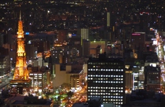 札幌の夜