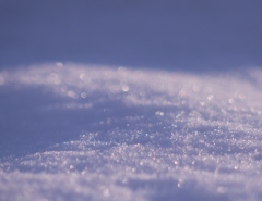 光る雪