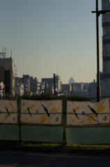 2011-12-12・眺めた