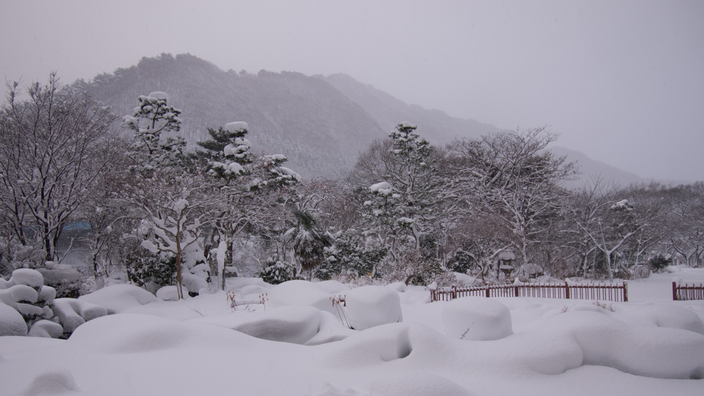 雪の庭