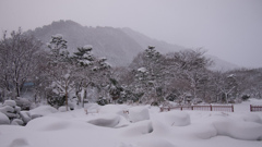 雪の庭