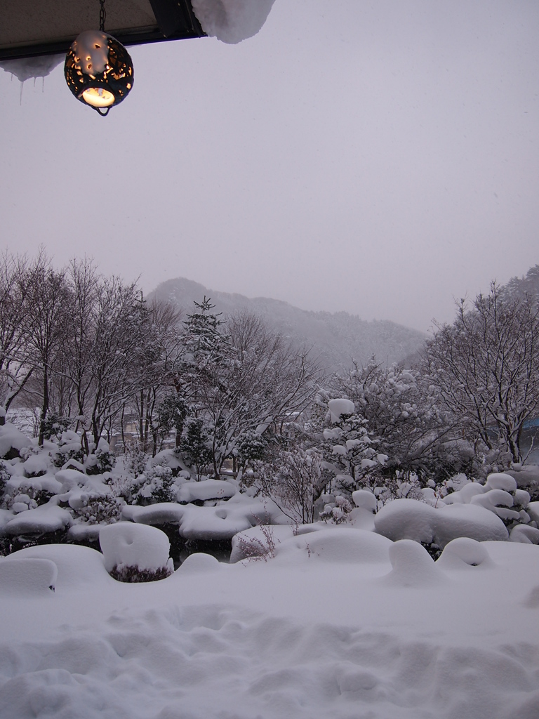 雪に包まれた