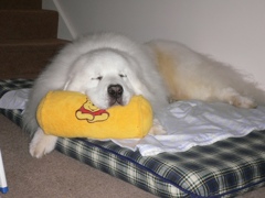 眠い・・・