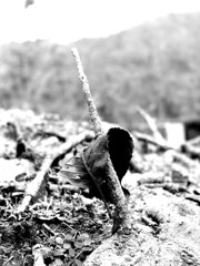 突き刺さる思い・・・