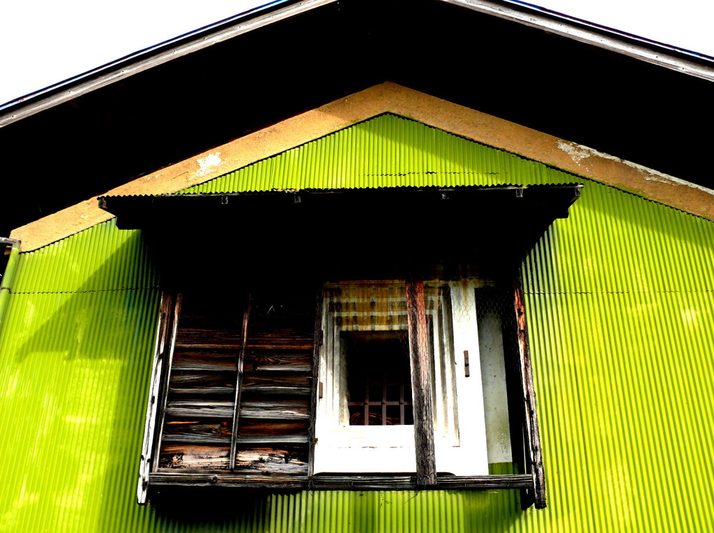 ジャパニーズ　グリーン！