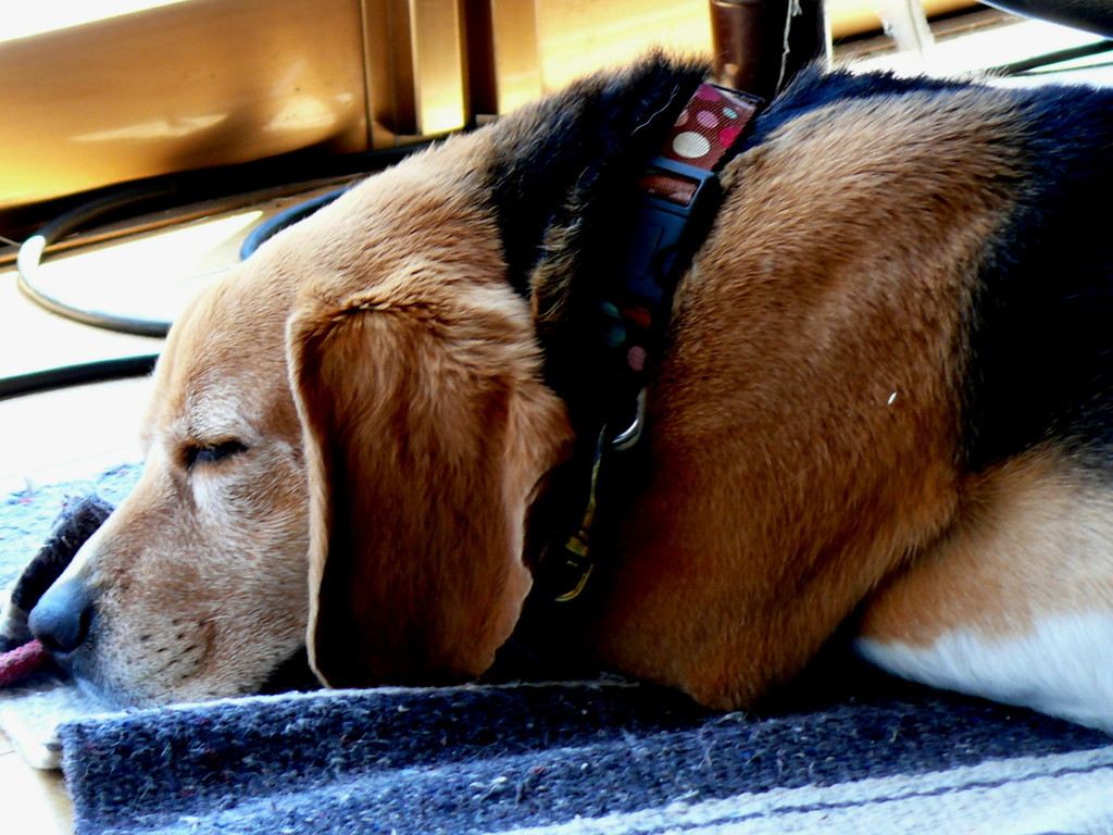 おだやか・・・