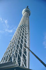 skytree
