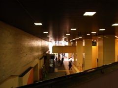RIMG0549