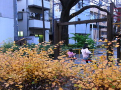 姉妹