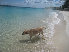around the world_Bahamas6