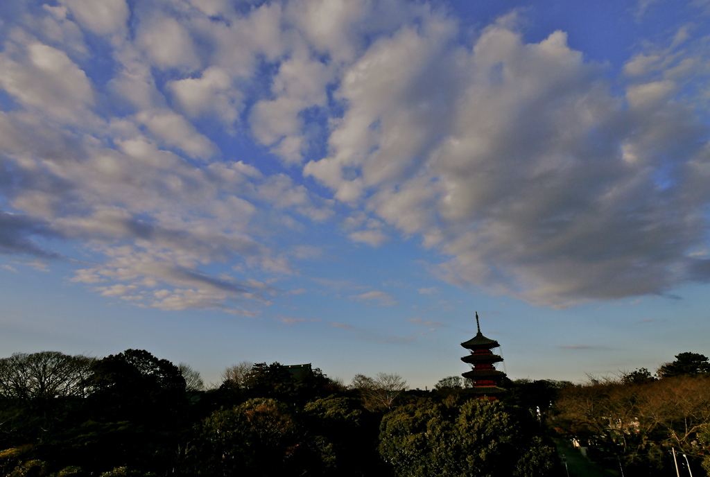 池上本門寺展望台から望