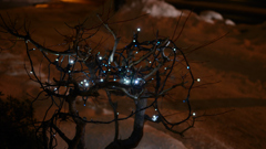 Small light