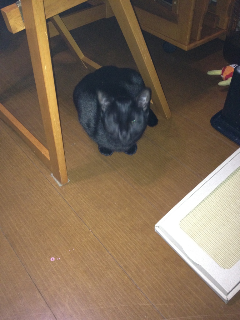 はくしょん！